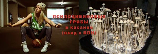 спайс Краснослободск